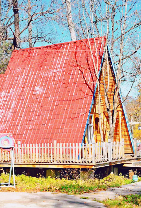 自帶濾鏡！最浪漫的秋天非她莫屬！