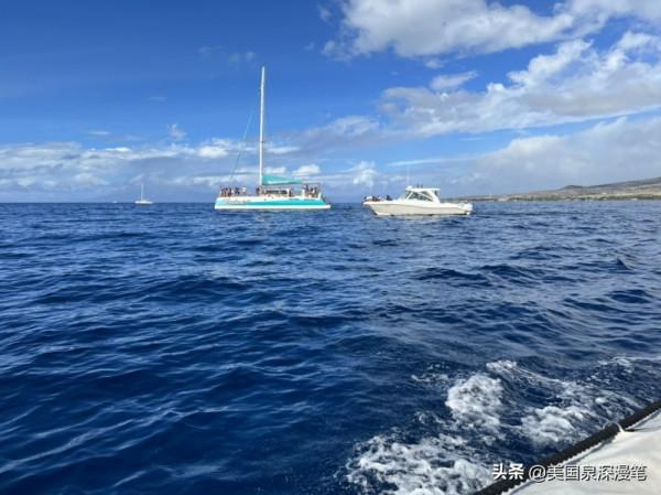 乘風破浪觀賞巨鯨 海底探險博覽魚群