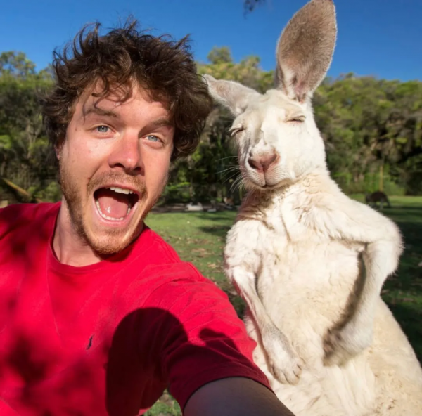 澳洲小哥靠一組照片成為“年度網紅”:絕了,每隻動物都會笑? 澳洲小哥靠一組照片成為“年度網紅”:絕了,每隻動物都會笑?