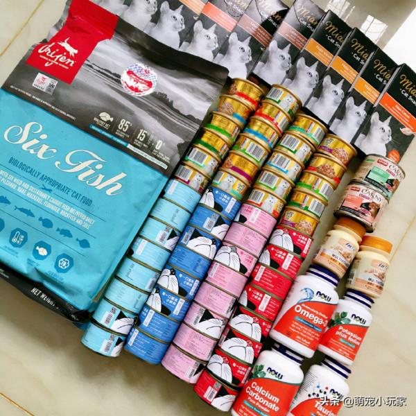 「貓車撿漏maoche331」貓車群真的可以撿漏嗎？低成本養貓攻略