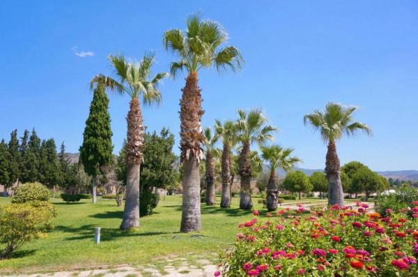 土耳其棉花堡：上帝打翻了牛奶瓶，被譽為世界第八大奇蹟