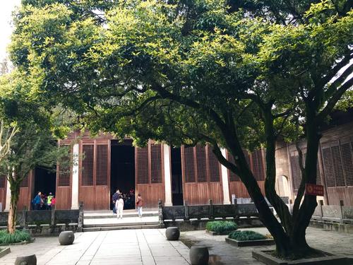 俗話“庭院有四樹，不貴也能富”，指的是哪四種樹？有何寓意？