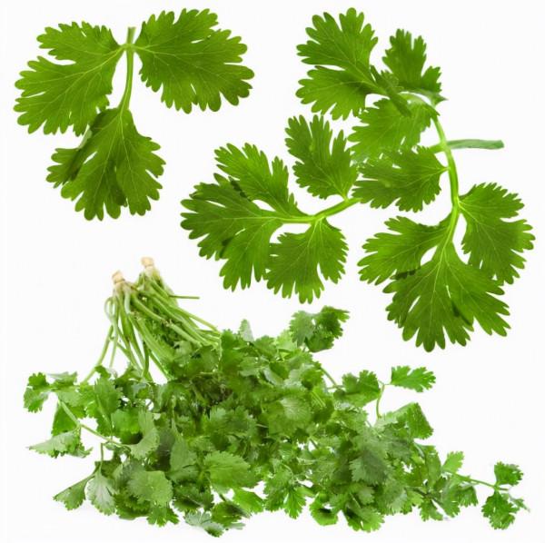 香菜讓人一看就討厭？這6大功效，其他蔬菜可做不到