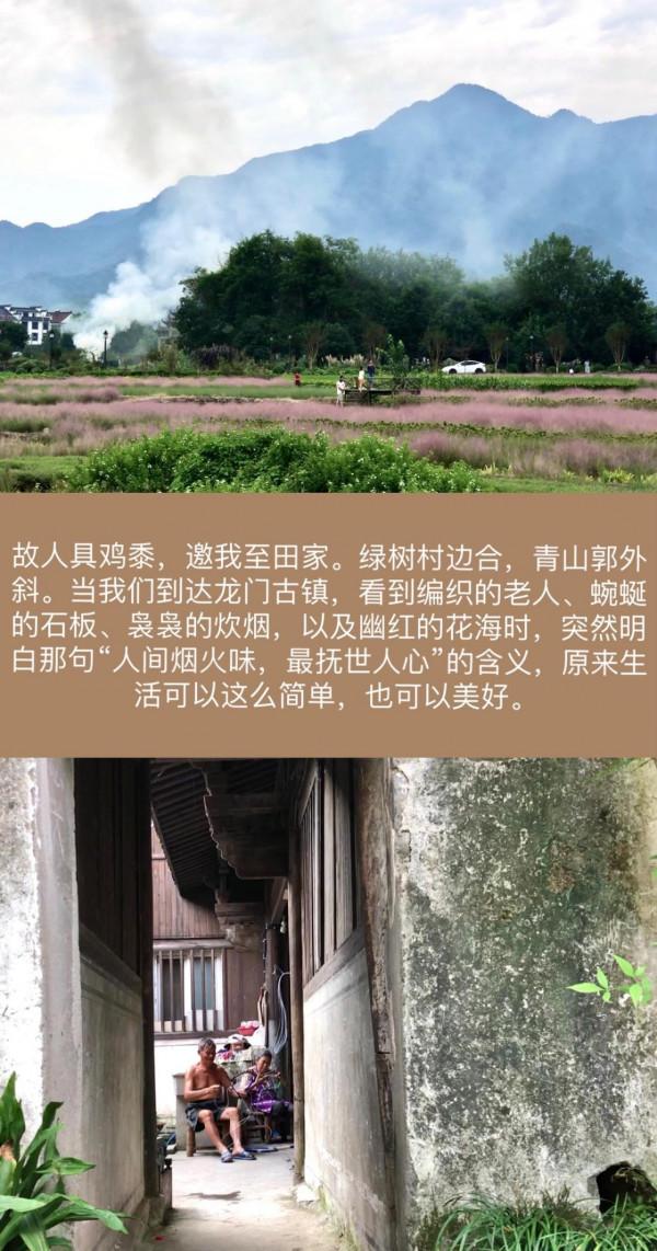 想感受人間煙火嗎？開著特斯拉Model Y去杭州周邊遊