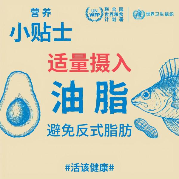 健康飲食小常識 健康飲食小常識