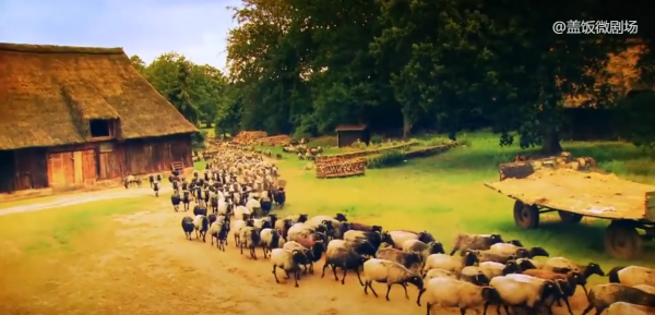 這就是歐洲真實的農村生活,看完後,不得不承認中國農村還需努力 這就是歐洲真實的農村生活,看完後,不得不承認中國農村還需努力