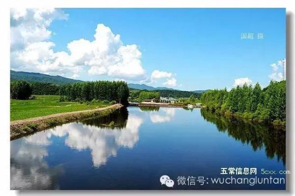 這是五常最美的夏日