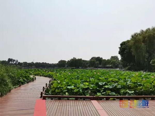 北京城中心的溼地公園，在這裡觸控老北京的脈搏，值得一去再去！