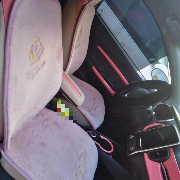 我的第一臺新能源汽車