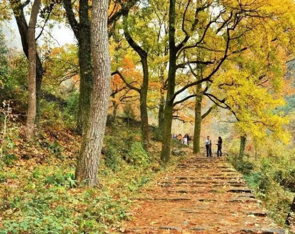 最適合11月份去的12個地方，挑上一個，住個三五天，治癒疲憊的心