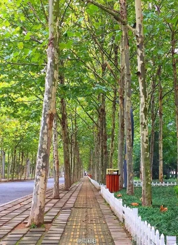 八大關，美了！