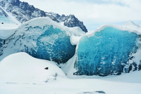 川藏南北線看花，追逐中國最美的春天