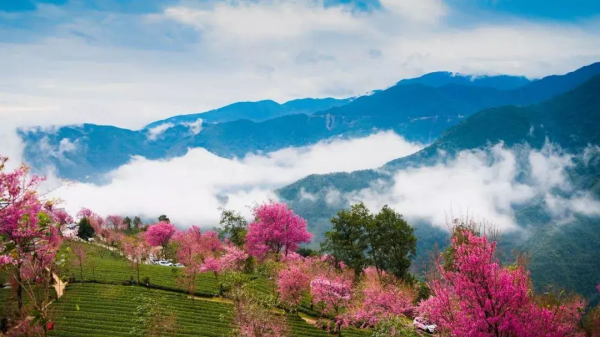 2022的願望：旅行自由！我想去這15個地方，不負心中所愛