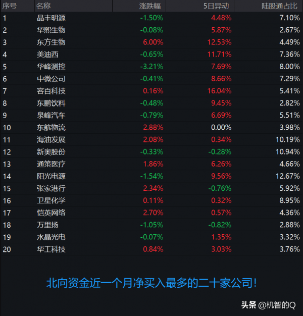 北向資金近一個月淨買入最多的是哪些公司？