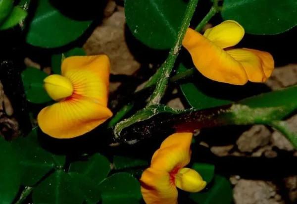 女人的“致命魅力”，和容貌無關