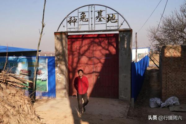 農村小夥買下80只草原兔,在野外散養3年賺35萬元,看有啥秘訣 農村小夥買下80只草原兔,在野外散養3年賺35萬元,看有啥秘訣