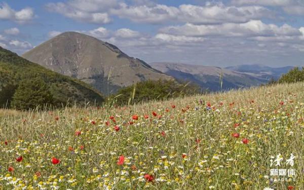 張愛玲的10句話，道盡愛恨悲歡