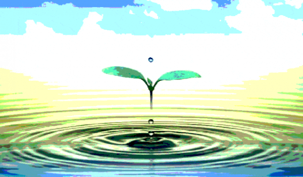 2019年，27歲母親攜三子墜河溺亡，兩份遺書述說悲劇真相