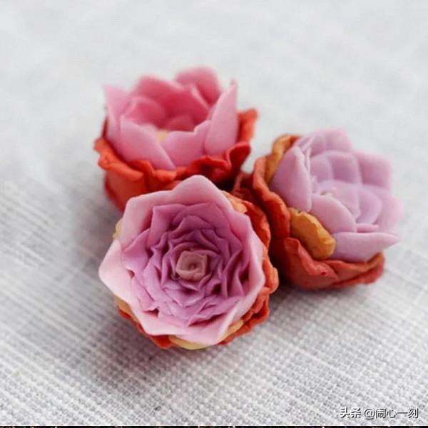 分享&mdash;&mdash;玫瑰多肉