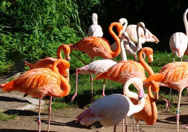 31個在歐洲必須體驗的是，你都知道麼？