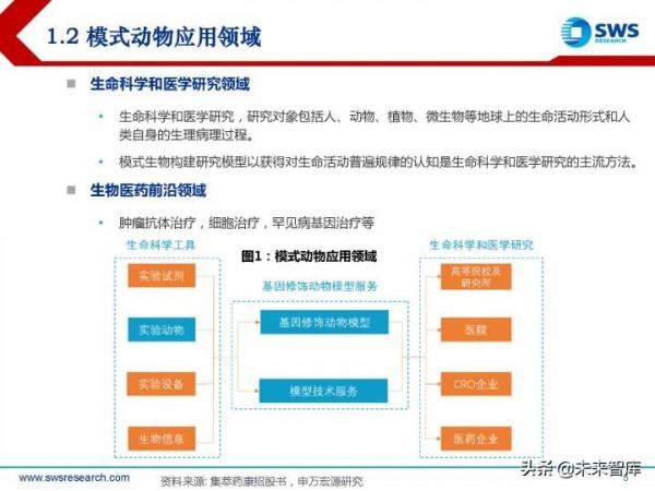 模式動物行業研究報告：創新需求開啟&OpenCurlyDoubleQuote;活試劑&rdquo;的廣闊天地