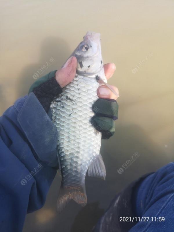 小小的改變讓爆護不是難事，哪裡跌倒就要從哪裡爬起來