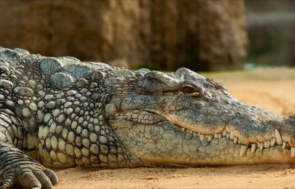 內心成熟的人最好的處世智慧：來事不慌，遇事能扛，事過則忘