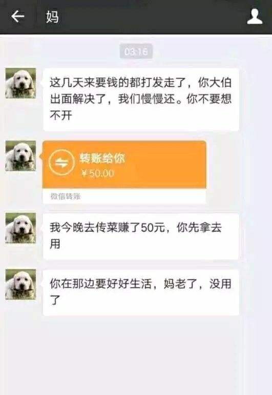 母親徒步三千里，肩背手推兩個癱瘓女兒尋醫，走了整整五年去北京