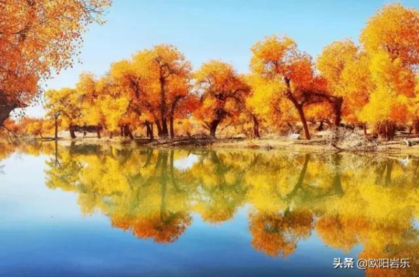 秋去秋來！中國最美的12個地方，你去過幾個？