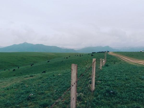 甘肅冷知識：推薦甘肅這22個世界之最和中國之最，你還知道哪些？