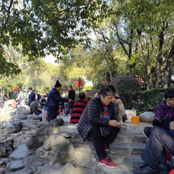 歡樂的紫舞公園