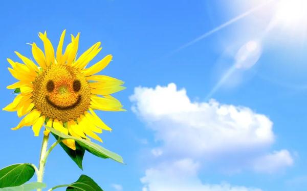 教育，是多些“溫度”的時候了