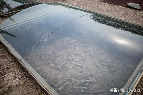 河南安陽殷墟遺址2021旅行攻略，門票70元兩個景點，還有可愛鹿群