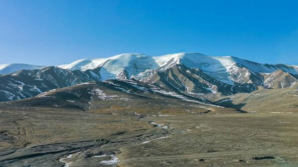 受氣候變化影響，有哪些原本無法見面的猛獸，未來可能會掐架？