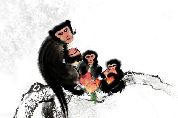 十二生肖文化之生肖猴文化 十二生肖文化之生肖猴文化