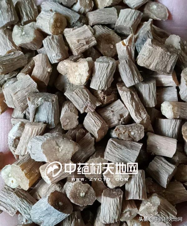 牛膝產新已收尾 行情一漲再漲是供求關係還是外因導致？