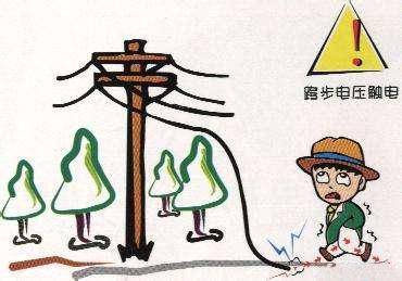 奇葩！足球場遭雷劈客隊11人全死亡，主隊無一人受傷