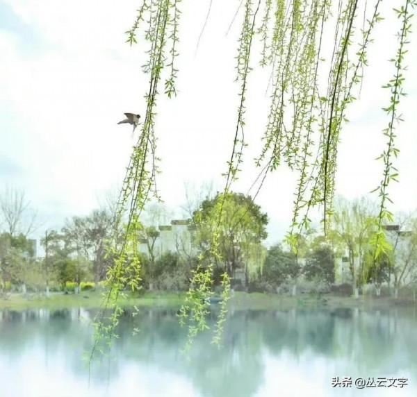 蘇東坡最為經典的50首詩詞,文彩四溢、南州冠冕 蘇東坡最為經典的50首詩詞,文彩四溢、南州冠冕