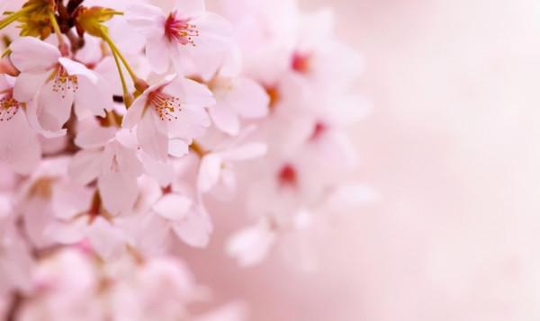 做人要低調，越是炫耀這些東西，福氣越少