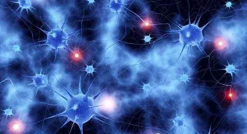 未來人類能肢體再生？像壁虎一樣斷手斷腳都不怕，這是真的嗎？