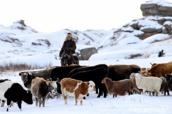 小和卓擁兵2萬餘，清軍只有4000人，兆惠為何仍要冒險南下平叛？