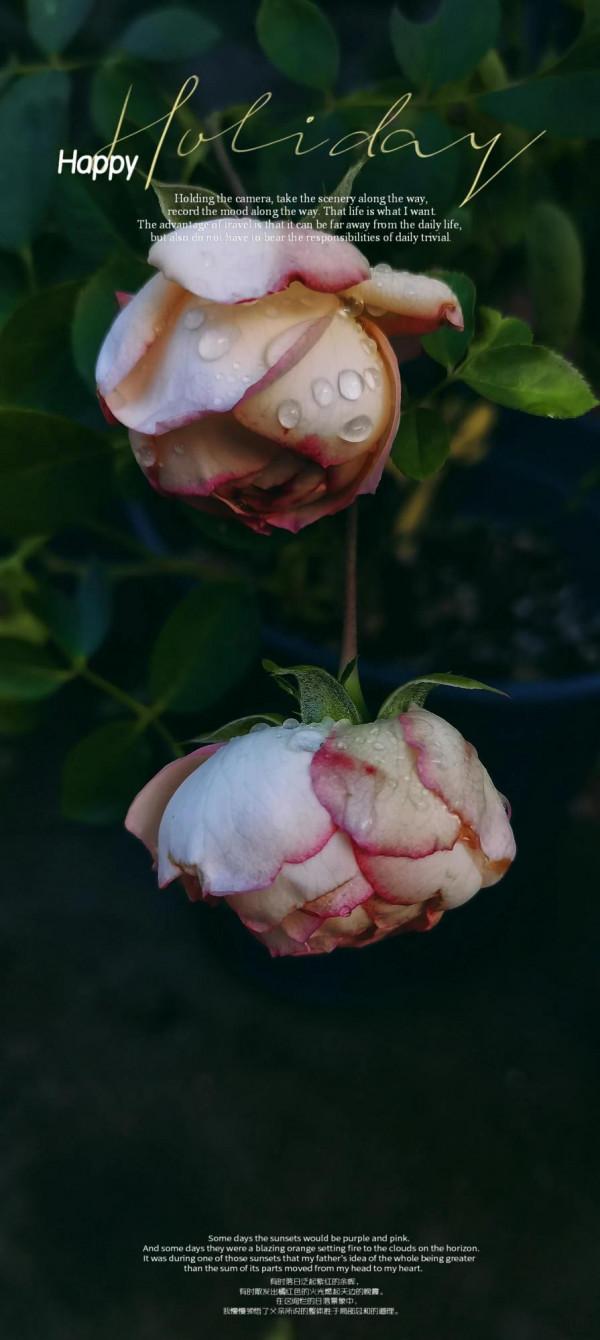 慢品人間煙火色，閒觀萬事歲月長