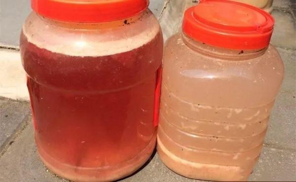 淘米水加點料,沒有異味,肥效能翻10倍,養啥花都旺 淘米水加點料,沒有異味,肥效能翻10倍,養啥花都旺