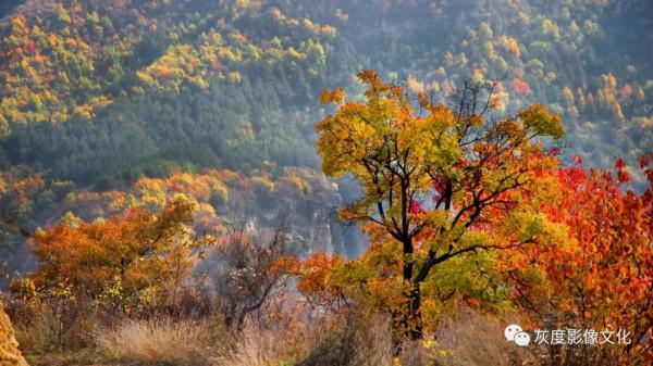 10月太行秋攝 天路、掛壁公路、石板房曬秋、古村落風光人文訓練營