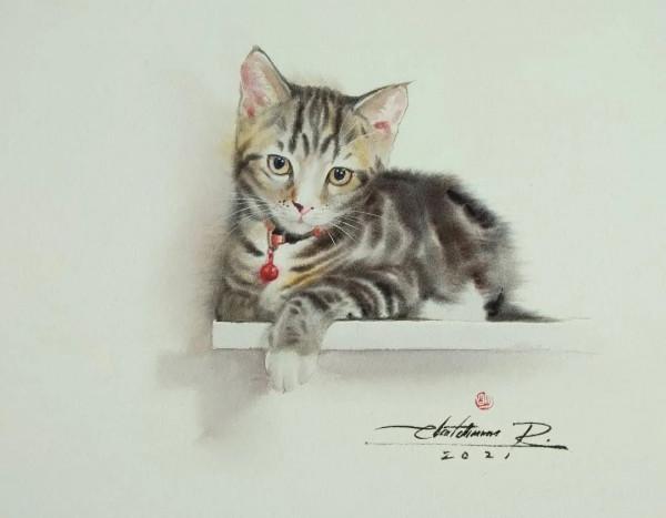 泰國貓王和他的水彩貓帝國