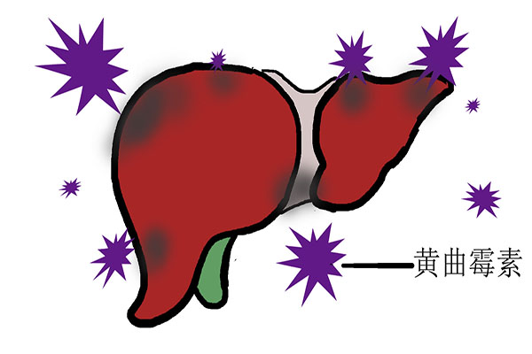 腐乳是“人間美食”,還是“致癌元兇”?關於腐乳,看這篇就夠了 腐乳是“人間美食”,還是“致癌元兇”?關於腐乳,看這篇就夠了