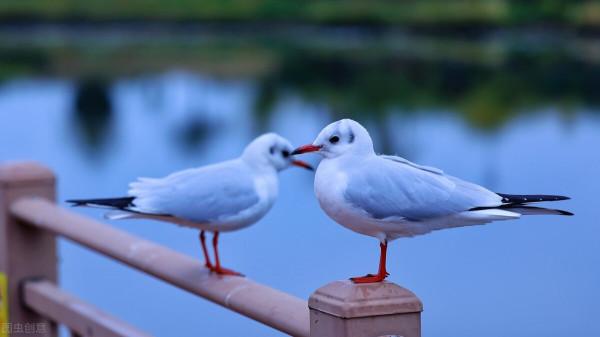 雲南的冬日也太美了吧!這6個地方的風景溫柔細膩,皆是歲月靜好 雲南的冬日也太美了吧!這6個地方的風景溫柔細膩,皆是歲月靜好