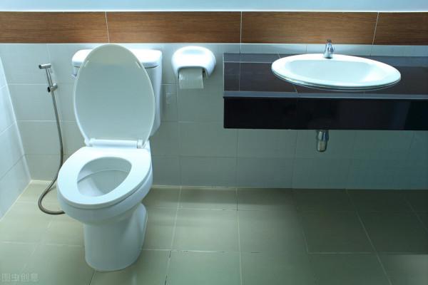 蹲便一定比坐便好？潔廁塊危害身體健康？這些年你上對廁所了嗎