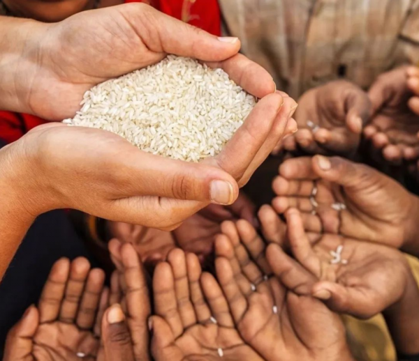 能源危機後遺症,全球糧價將暴漲?危機加劇,中國為何能化解? 能源危機後遺症,全球糧價將暴漲?危機加劇,中國為何能化解?