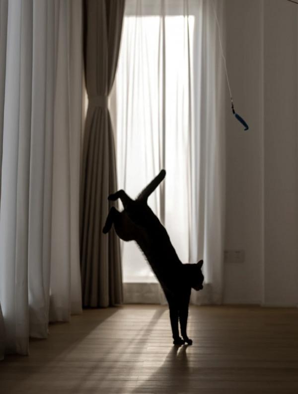 LDK一體化,憑什麼籠絡人心?寬敞明亮,提高每1㎡利用率,絕了 LDK一體化,憑什麼籠絡人心?寬敞明亮,提高每1㎡利用率,絕了